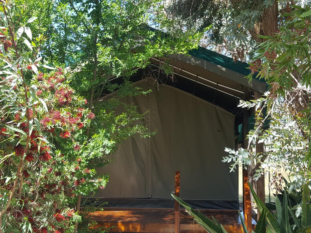 Hoopenburg Guesthouse Klapmuts Exterior foto